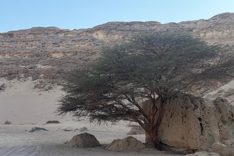 ( canyon hurghada &amp; observation des étoiles )( canyon et observation des étoiles )