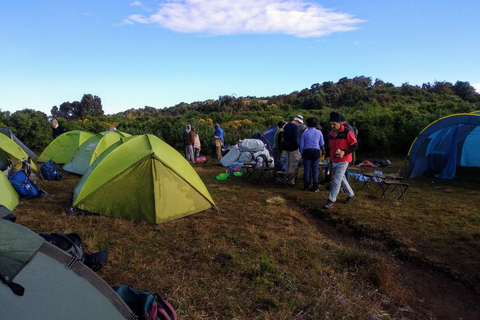 Addis Ababa: Simien Mountains 3-Day Trekking Tour