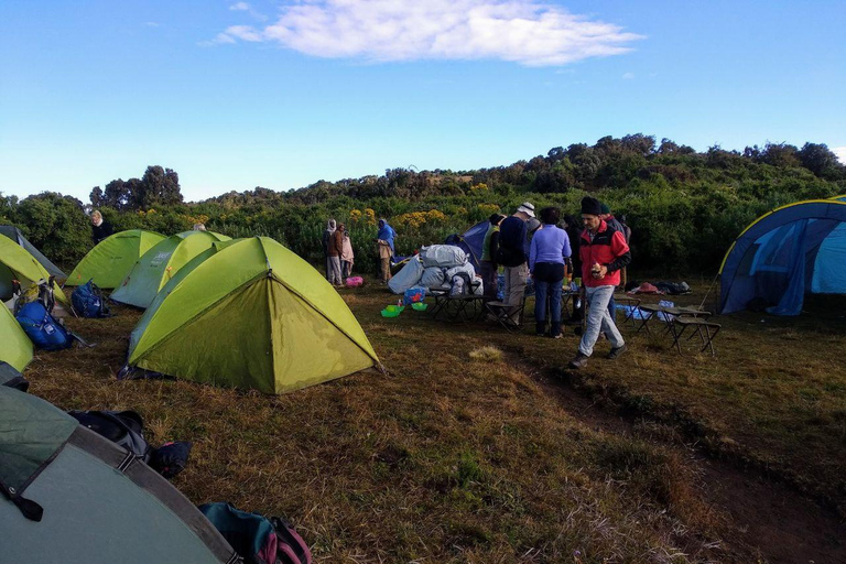 Addis Ababa: Simien Mountains 3-Day Trekking Tour