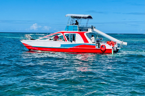 PuntaCana: Private Luxury Family BoatCruise with snorkelling