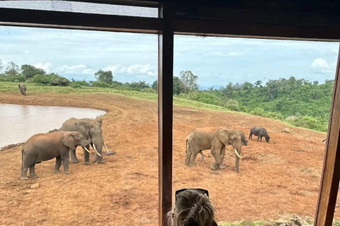 Nairobi: Overnight Adventure in Aberdare National Park
