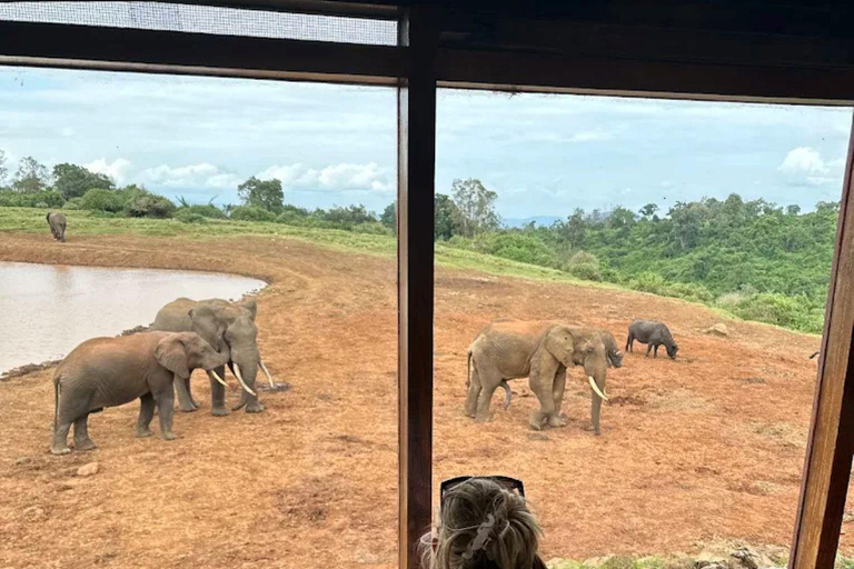 Nairobi: Overnight Adventure in Aberdare National Park