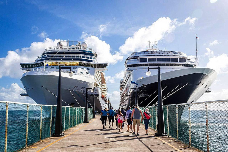 Bali Shore Excursion: Ubud, Rice Terraces & Waterfall