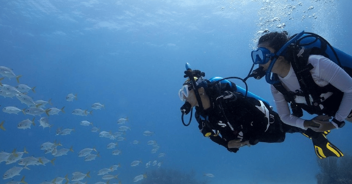 Playa del Carmen Ocean Dive Tour GetYourGuide