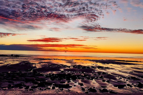 Kamelenrit op het strand van Achakar, panoramische zonsondergang en diner