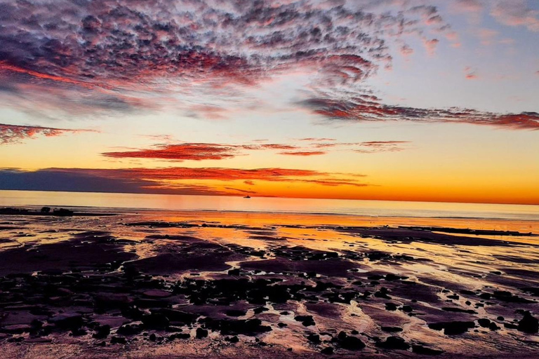 Kamelritt am Strand von Achakar, Sonnenuntergang mit Panoramablick und Abendessen