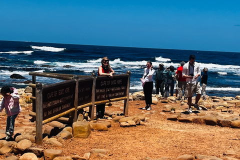 Robben Island, Penguins & Cape of Good Hope Adventure