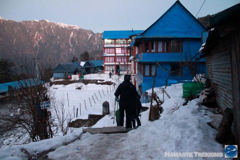 From Pokhara: 2-Day Short Poon Hill Trek