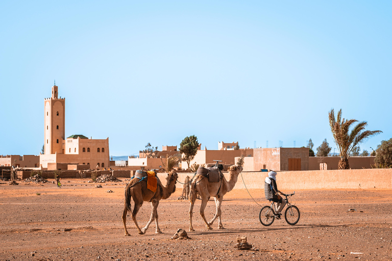 From Marrakech: 2-Day Zagora Desert Tour Camel & Luxury Camp Shared Tour With Luxury Camp