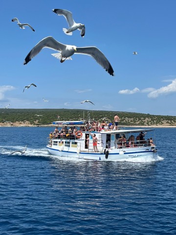 Visit From Krk, Rijeka Discover 4 Islands, Catamaran & Boat Tour in Krk, Croatia