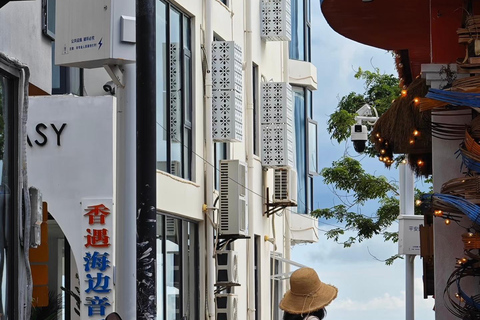 Sanya: Nanshan Scenic Area & Yazhou Ancient City Tour Guide for other languages