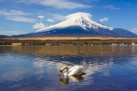 Tokyo: Mt. Fuji & Lake Kawaguchi Small Group Tour - 6 Spots Hotel Pickup Option
