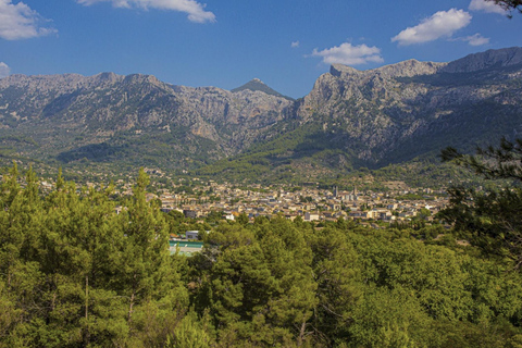 Palma: Inselrundfahrt auf Mallorca mit Boot, Zug und BusPalma: Mallorca Island Tour per Boot, Zug und Bus