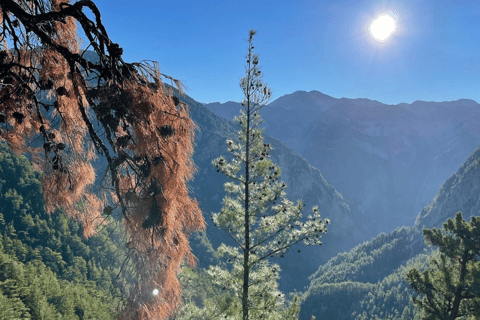 Safaris en Jeep de luxe : Montagnes blanches et visite de la Samarie