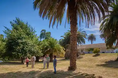Colchahua Valley: Iconic Tour, Viña Maquis