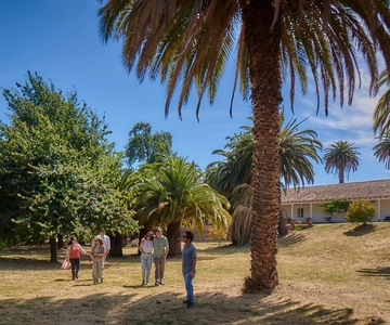 Colchahua Valley: Iconic Tour, Viña Maquis