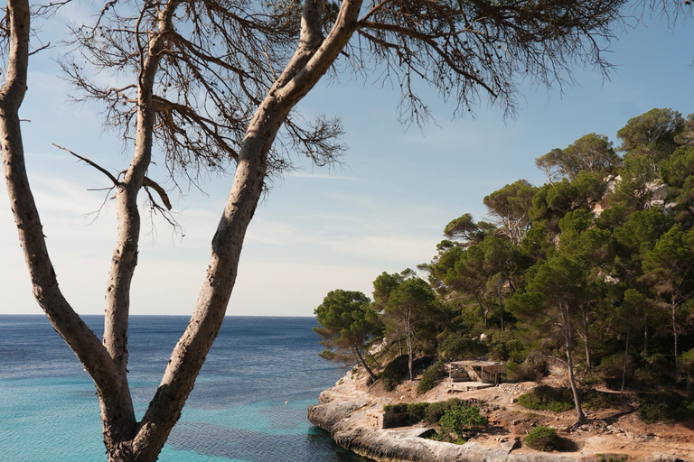 Guided Hiking and Yoga Experience in Menorca