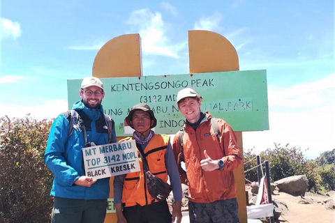 From Yogyakarta: Mount Merbabu One Day Hiking Tour