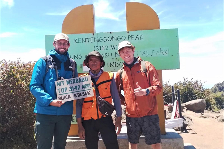 Z Yogyakarty: Jednodniowa wycieczka piesza na górę Merbabu