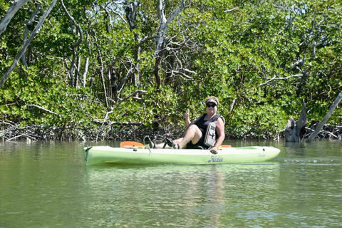 From Naples, FL: Marco Island Mangroves Kayak or Paddle Tour Easy Ride Pedal Kayak Tour