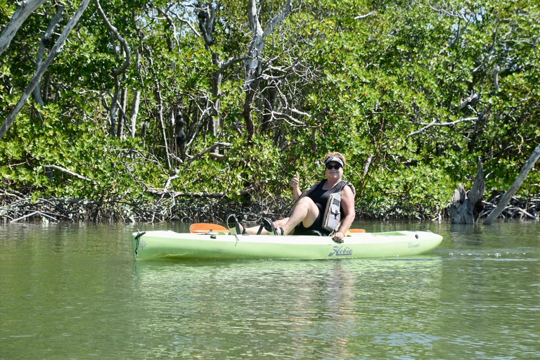 From Naples, FL: Marco Island Mangroves Kayak or Paddle Tour Easy Ride Pedal Kayak Tour