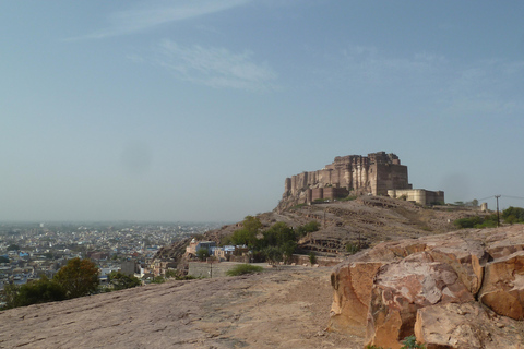 Jodhpur : Visitez le fort Mehrangarh et participez à une aventure en tyrolienne