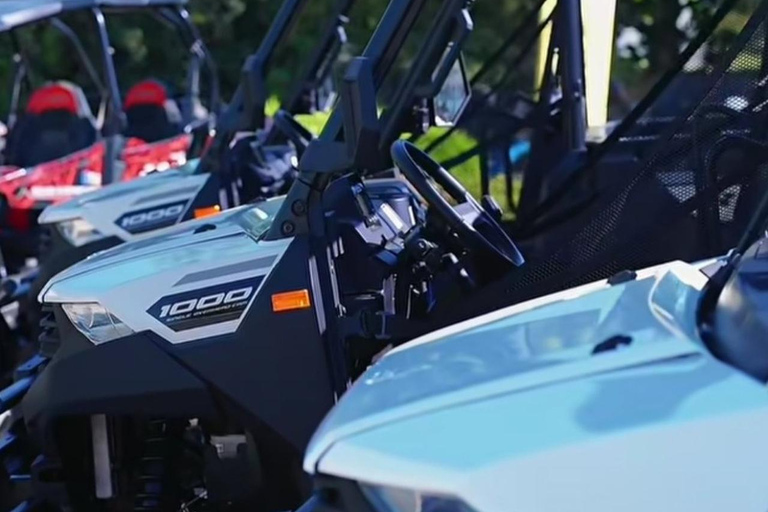 Paphos: 4.5-Hour Half-Day Quad & Buggy Safari Tour Quad Bike – Up to 2 People