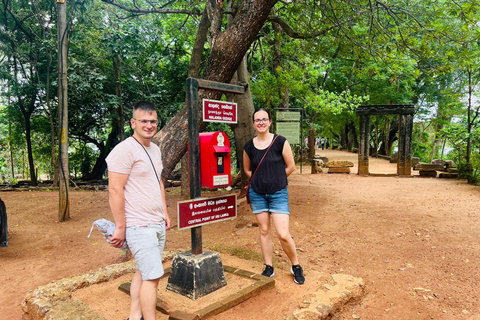 Kandy: Sigiriya, Dambulla, or Habarana Transfer & Tour