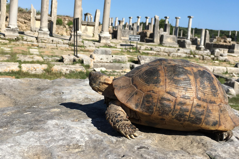 Antalya: Perge Ancient City Tour
