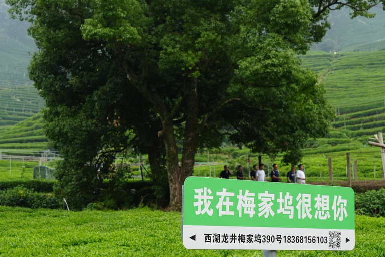 Hangzhou: Meijiawu Tea Picking and Roasting Experience Hangzhou: Meijiawu Tea Picking and Roasting Experience (3h)