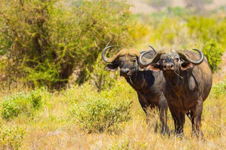 Lake Nakuru & Naivasha National Park Wildlife Highlights