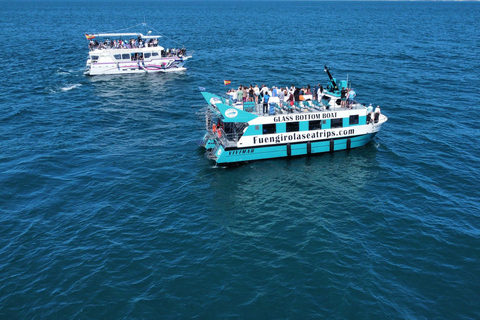 Fuengirola : Tour en catamaran pour repérer les dauphins