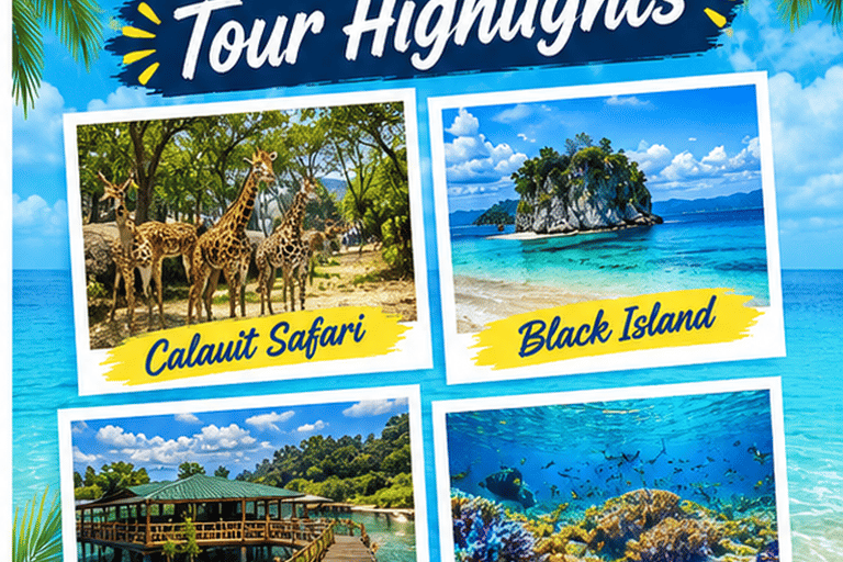 Coron: Calauit Safari & Black Island Private Tour with Lunch