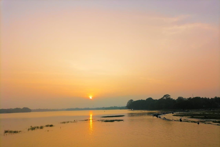Galle: Madu River Boat Safari & Turtle Visit Experience Pickup From Colombo / Negombo Area
