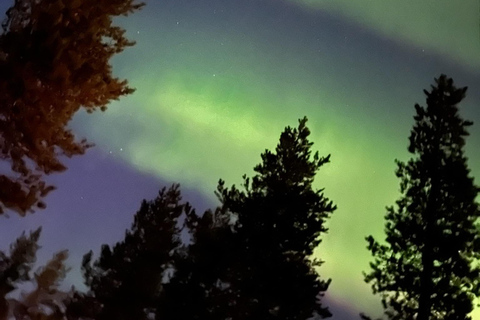 Saariselkä/Kakslauttanen: Private Aurora Hunt in Premium Car Saariselkä: Premium Northern Lights Car Hunt in Small Group