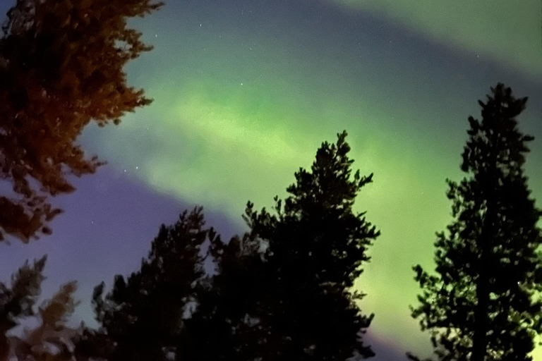 Saariselkä/Kakslauttanen: Private Aurora Hunt in Premium Car Saariselkä: Premium Northern Lights Car Hunt in Small Group