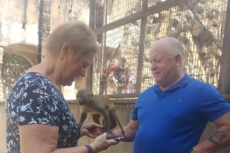 Jaipur : Marché aux fleurs, Fort d&#039;Amber, Temple des singes et visite de la villeVisite guidée sans guide