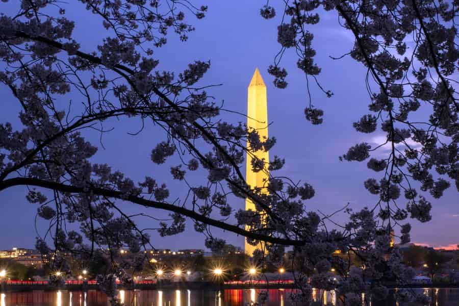Nächtliche Tour durch DC mit über 10 Stopps, Kirschblüten, Eintrittskarten. Foto: GetYourGuide