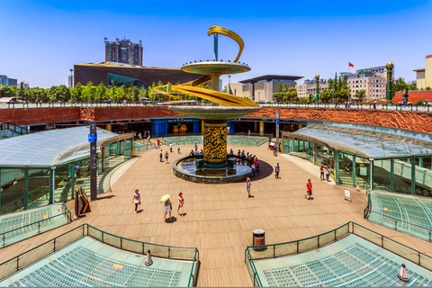Tokyo Full Day Private Sightseeing Tour with English Driver