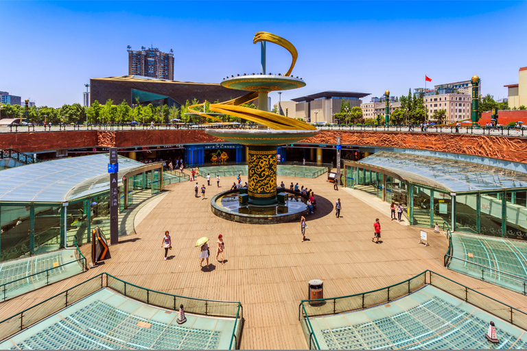 Tokyo Full Day Private Sightseeing Tour with English Driver