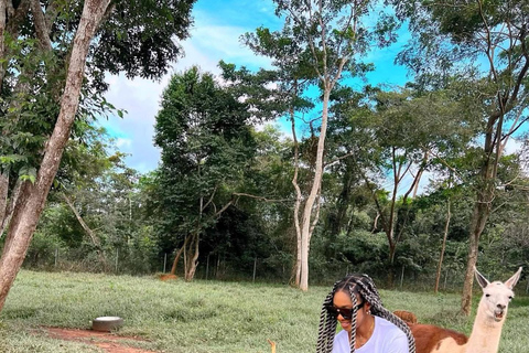 Accra: Safari Valley, Waterfall, and Cocoa Farm Tour