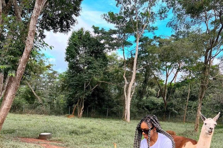 Accra: Safari Valley, Waterfall, and Cocoa Farm Tour