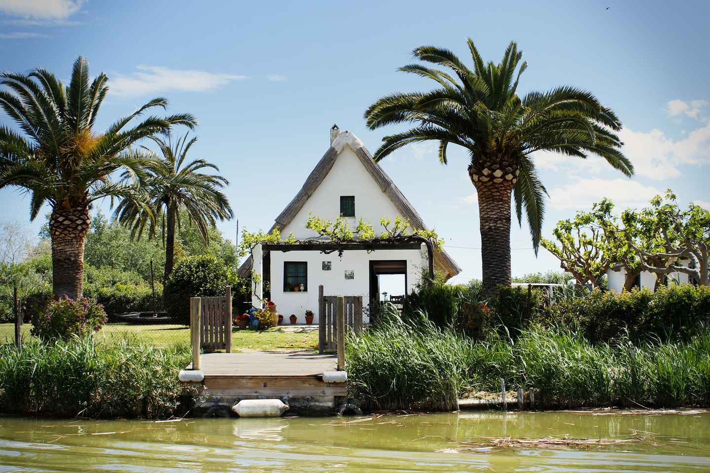 From Valencia: Albufera Natural Park with Sunset Boat Tour