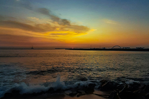 Explore Negombo and Colombo Day Tour