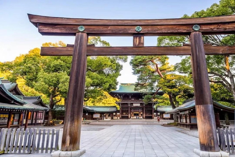 Tokyo Full Day Customizable Private Tour with English Guide