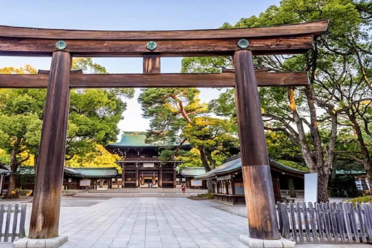 Tokyo Full Day Customizable Private Tour with English Guide
