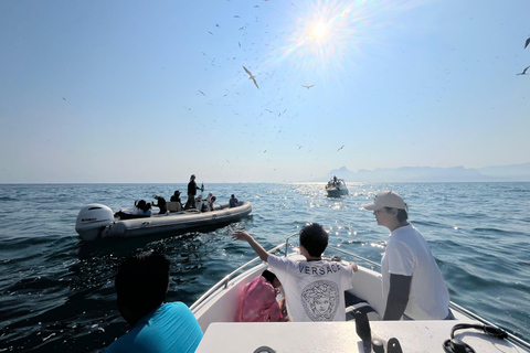 The Rio´s Ultimate Whale Whatching Experience THE RIO´S ULTIMATE WHALE WHATCHING