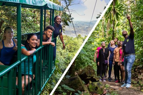 St. Lucia Aerial Tram Tour at Rainforest Adventures