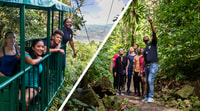 Santa Lucia, Tour aereo dei tram alle avventure della foresta pluviale - Hizvo