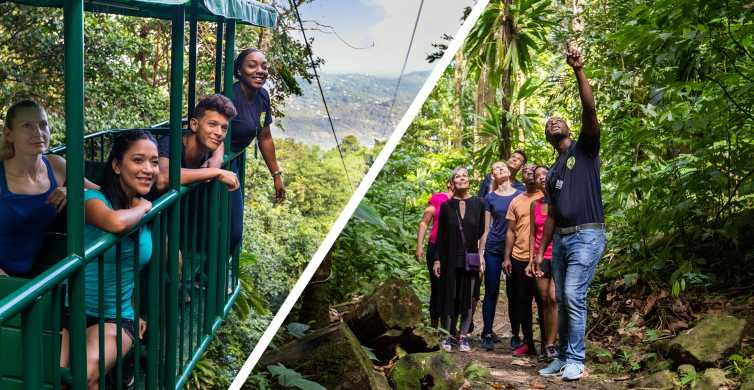 Saint Lucia: Aerial Tram Tour at Rainforest Adventures